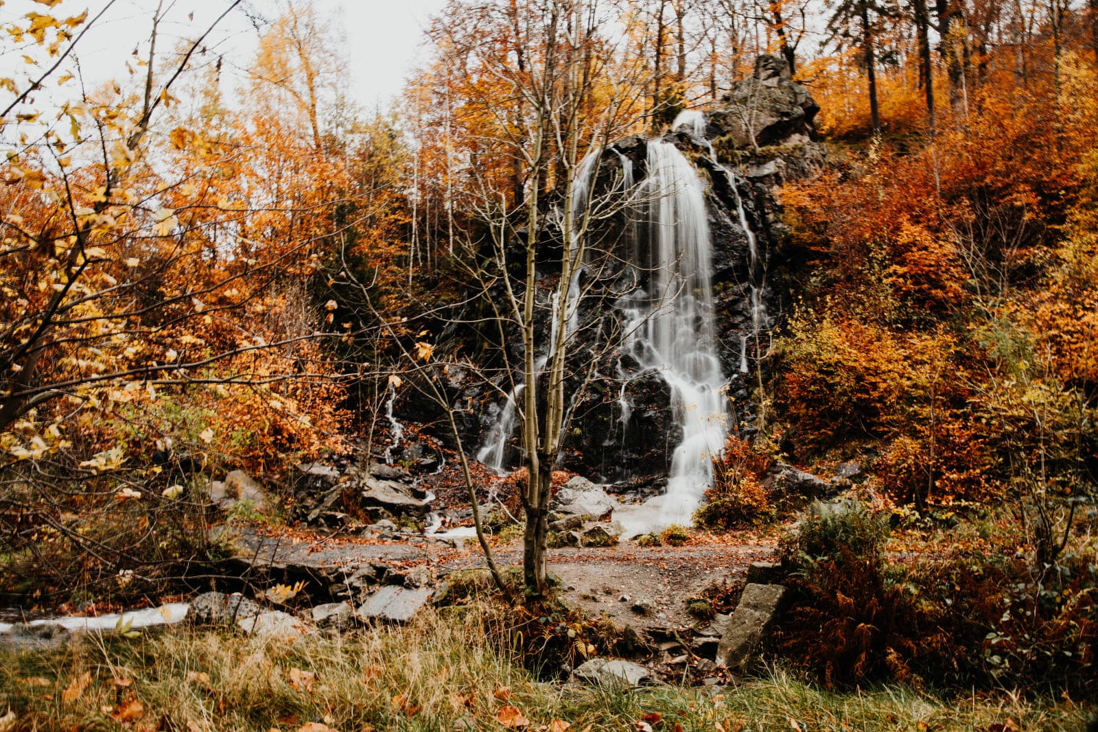 Family Day Trips in the Harz: Top 10 Excursions with Kids