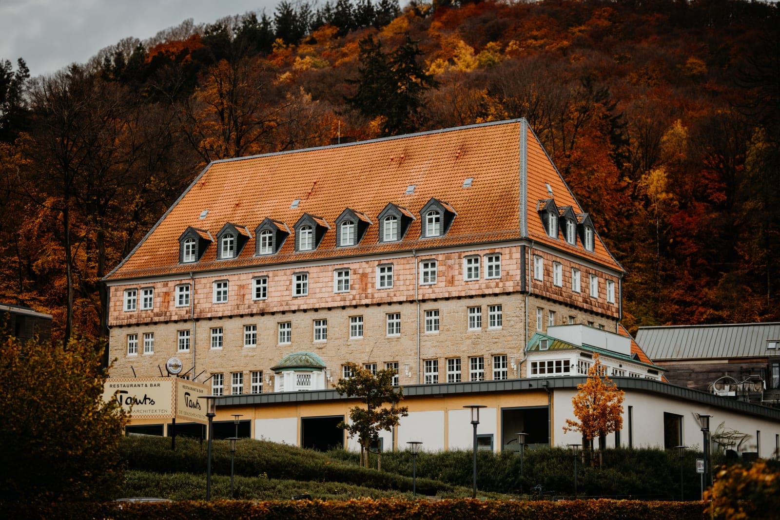 Nationalpark Harz: Tiere, Natur und Wildnis erleben